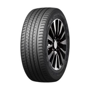 Doublestar 285/35 R21 105Y DSU02 2024