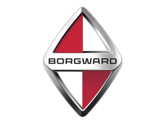 BORGWARD Tyres Online